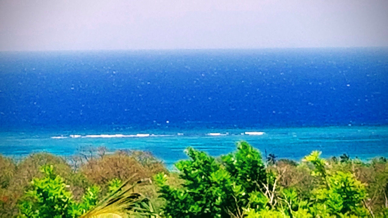 Photo of Others in Silver Sands