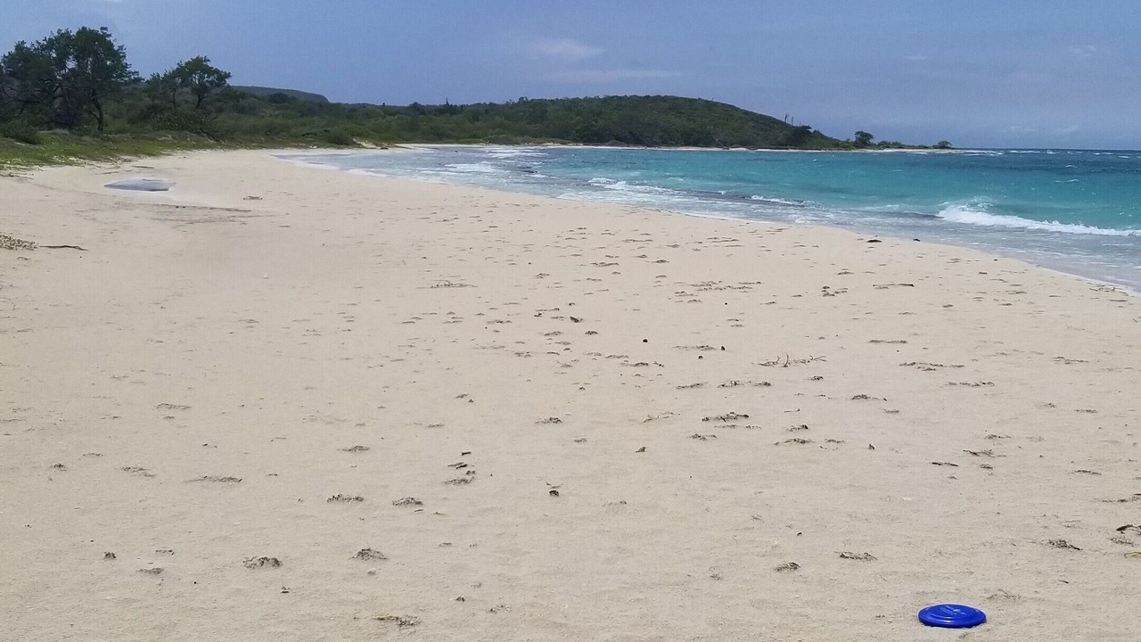 Photo of Others in Silver Sands
