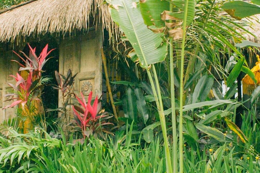 Photo of Outdoor in Pecatu