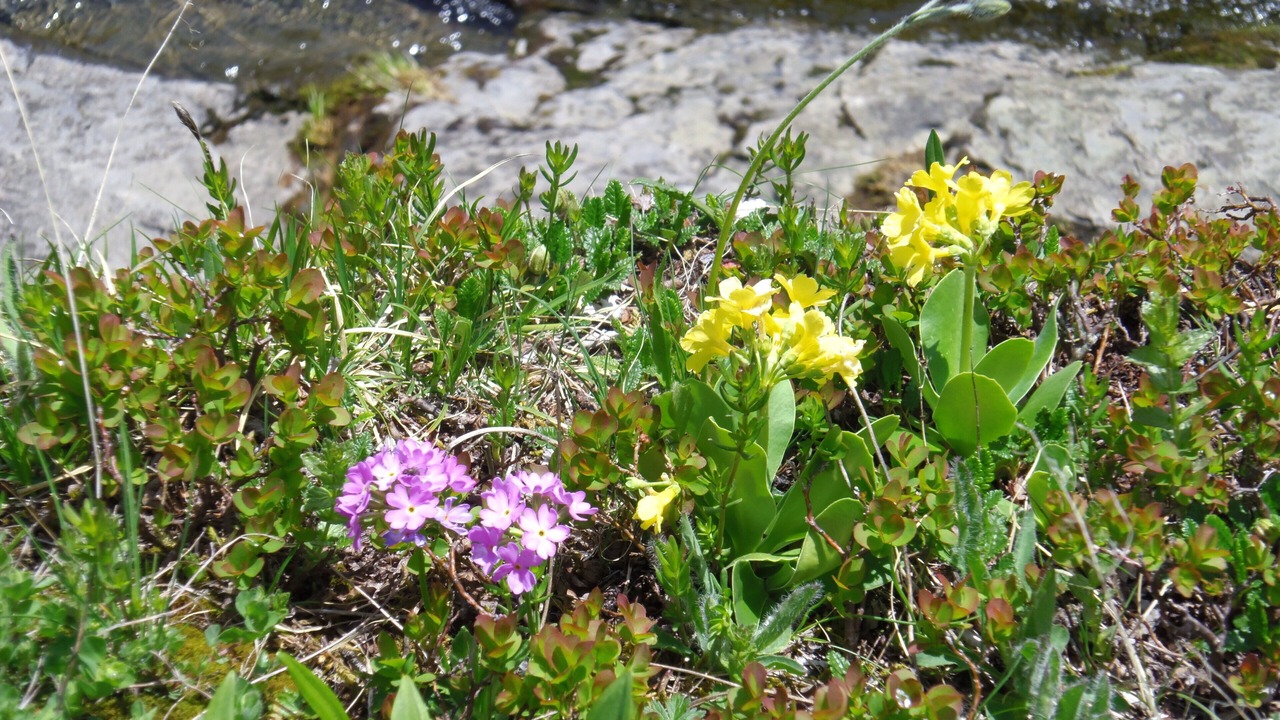 Photo of Outdoor in Verchaix