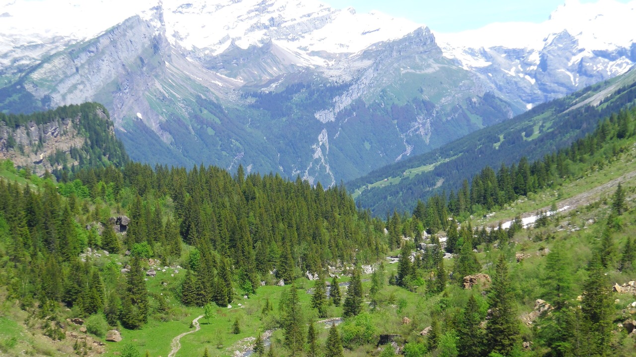 Photo of Outdoor in Verchaix