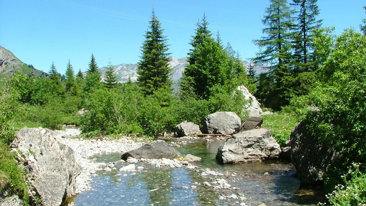 Photo of Others in Verchaix