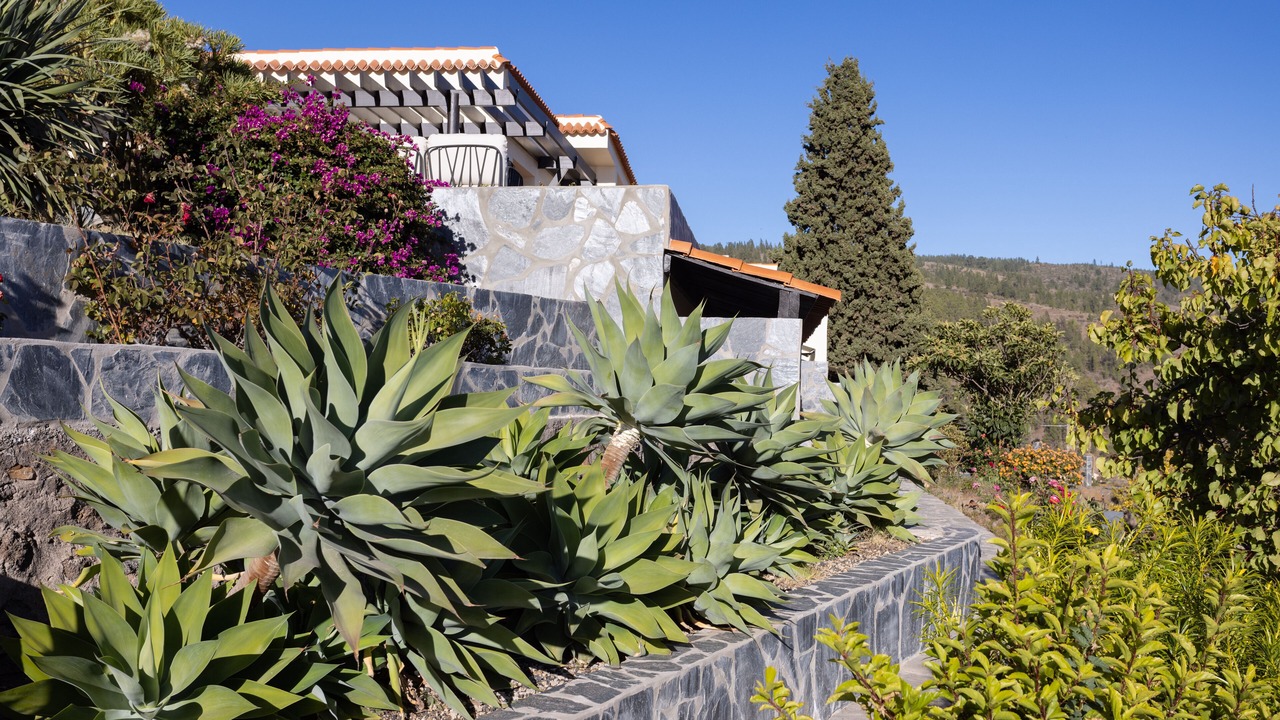 Photo of Outdoor in Vilaflor