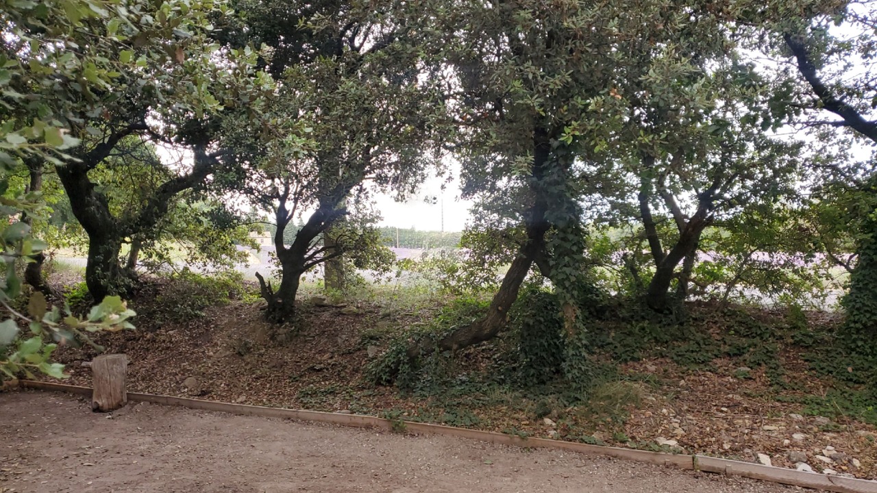 Photo of Outdoor in Montsegur-sur-Lauzon