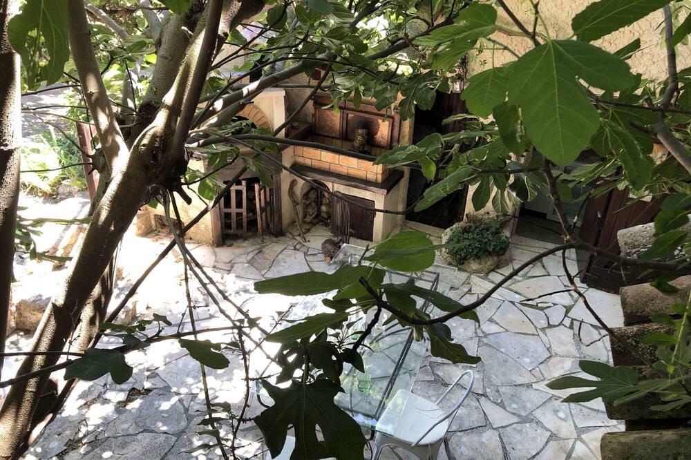 Photo of Outdoor in Saint-Martin-de-Bromes