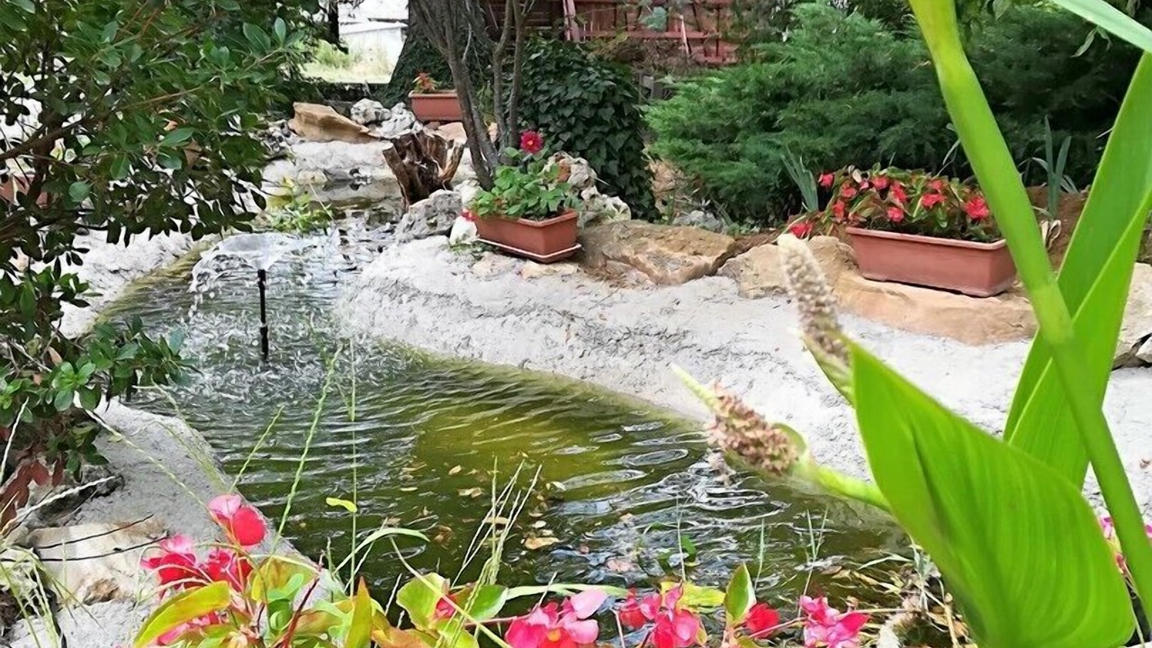 Photo of Outdoor in Cormatin