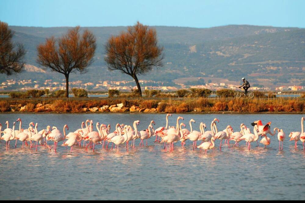 Photo of Outdoor in Frontignan