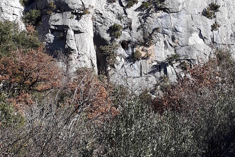 Photo of Outdoor in Plaisians