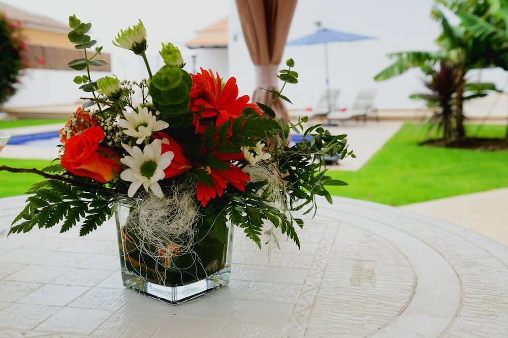 Photo of Outdoor in Candelaria