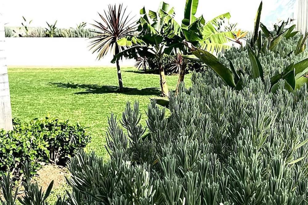 Photo of Outdoor in Candelaria