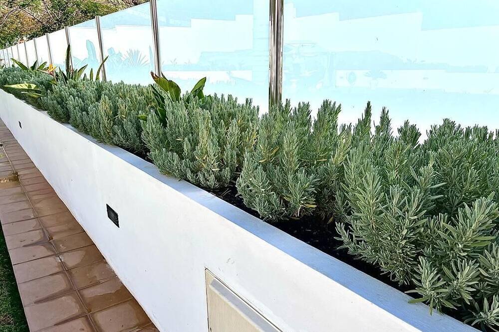 Photo of Patio Balcony in Candelaria