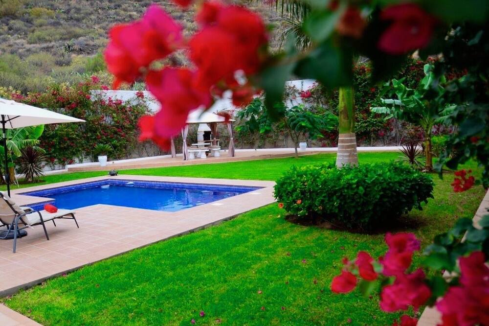 Photo of Outdoor in Candelaria