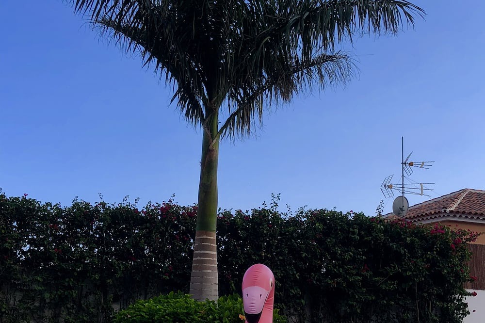 Photo of Outdoor in Candelaria