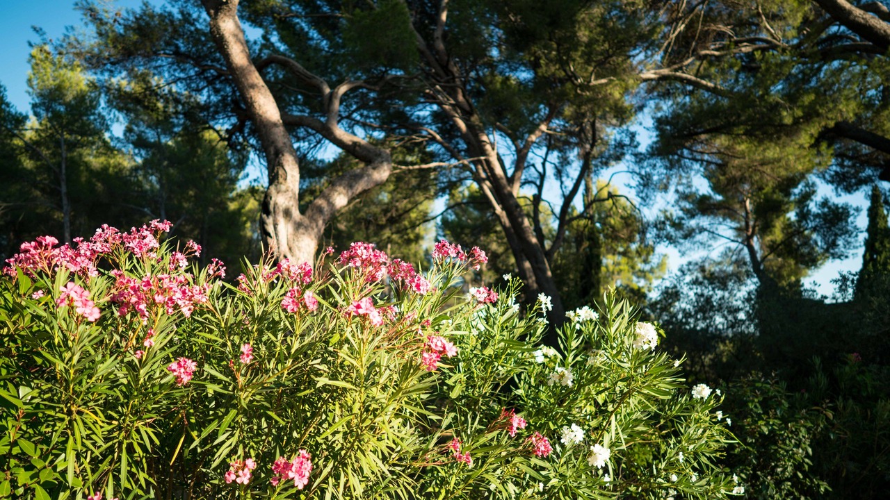 Photo of Outdoor in Grand Sud