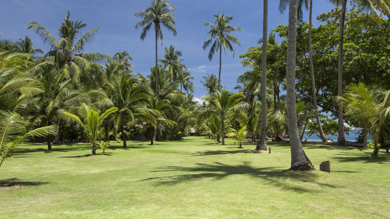 Photo of Outdoor in Ko Yao