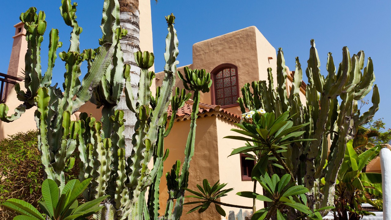 Photo of Outdoor in Costa Adeje