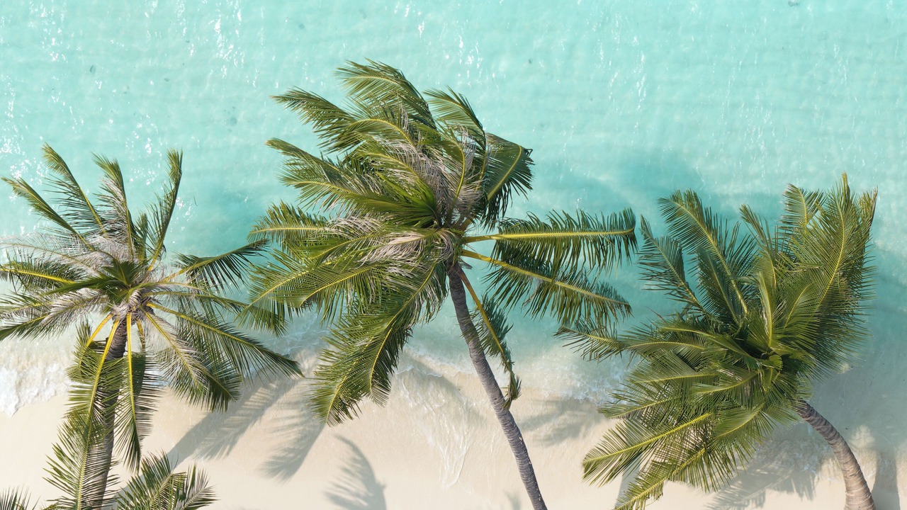 Photo of Outdoor in Bandos Island