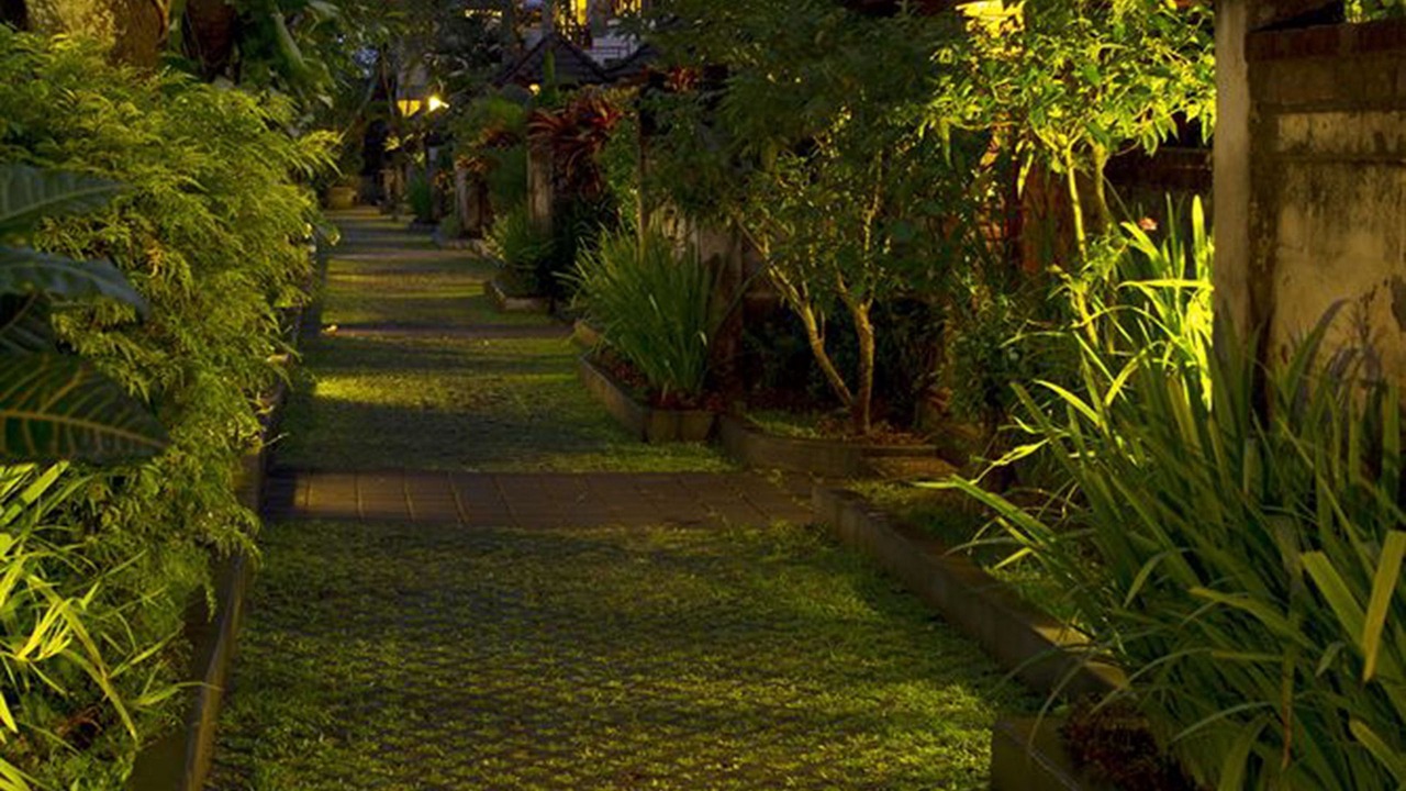 Photo of Outdoor in Petitenget