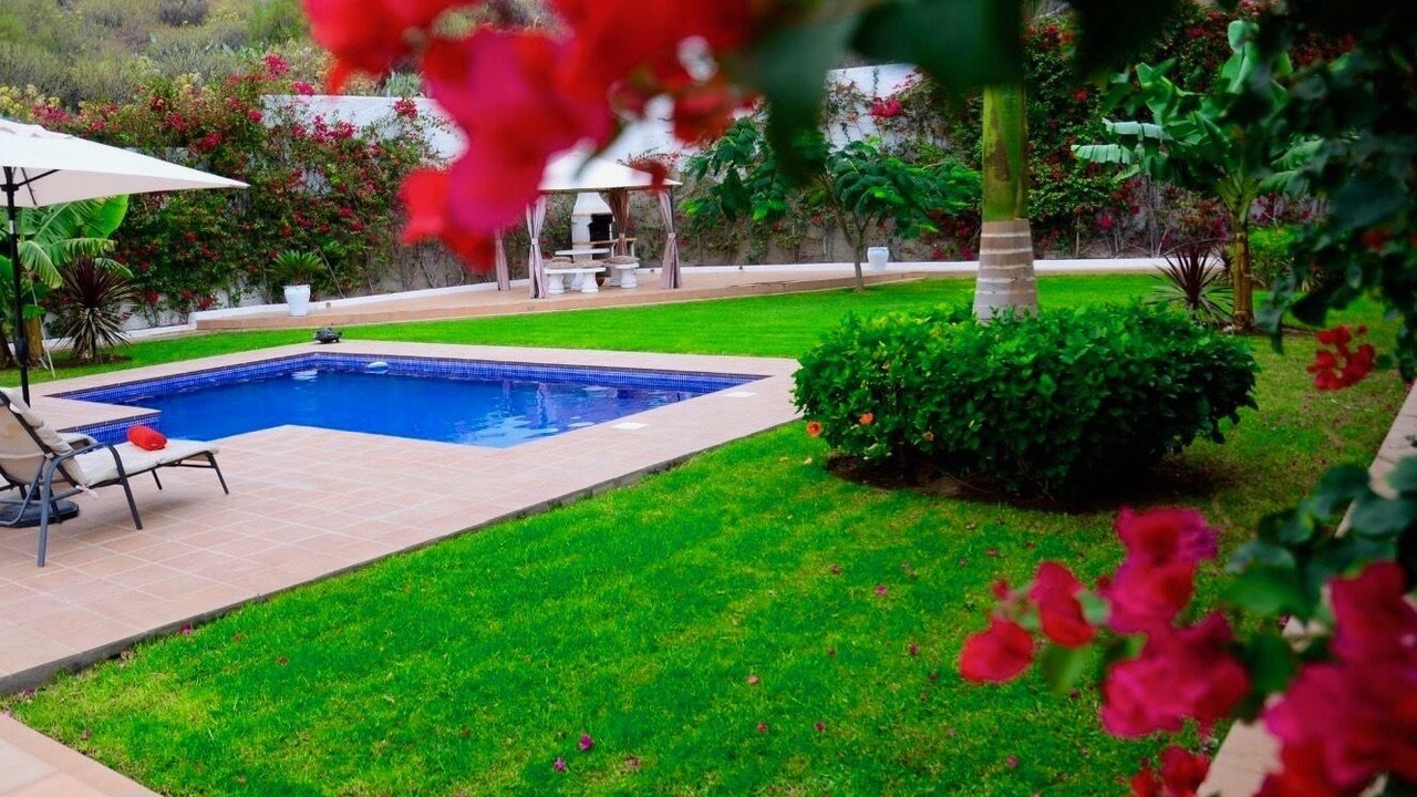 Photo of Outdoor in Candelaria