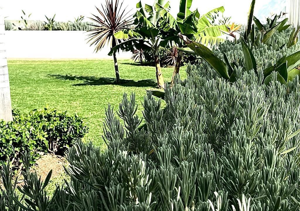 Photo of Outdoor in Candelaria