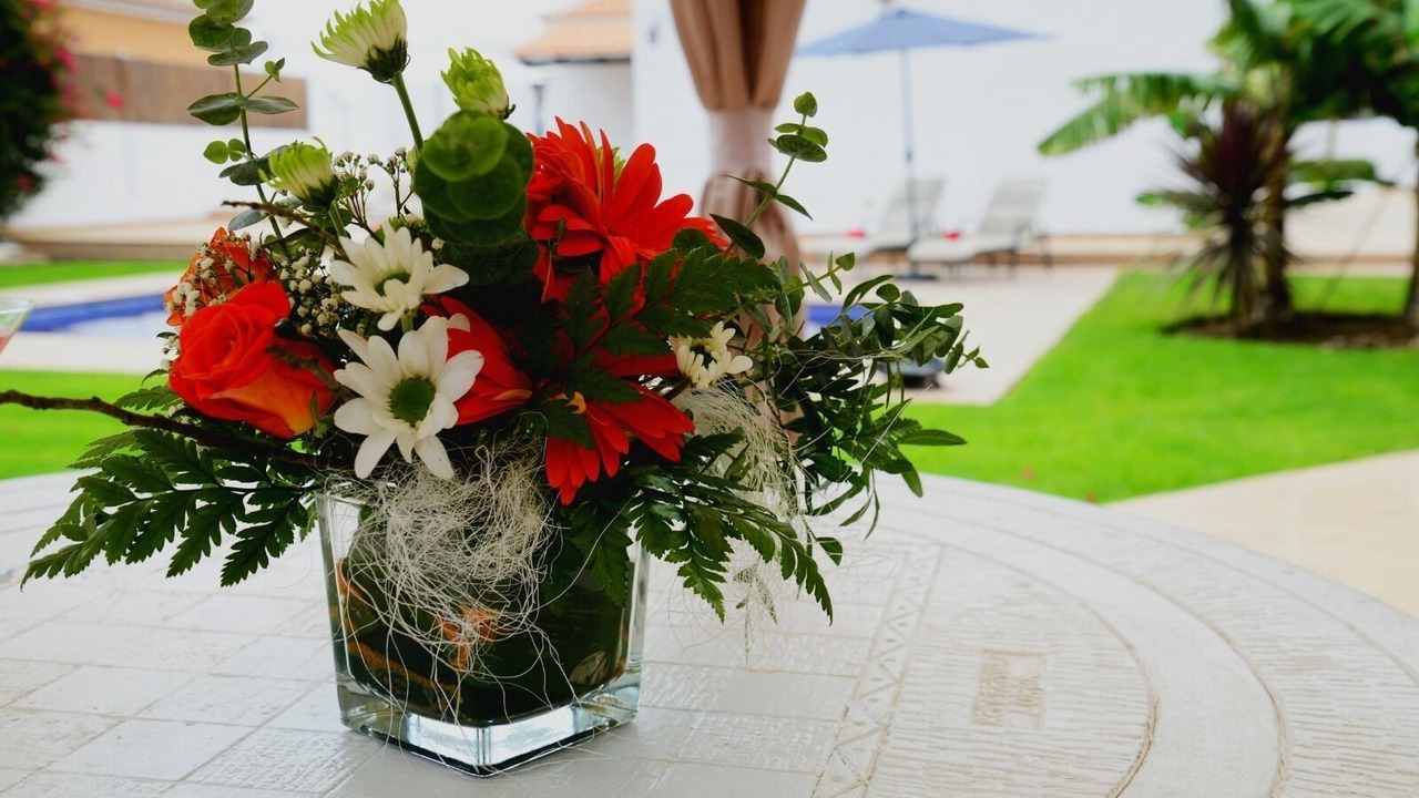 Photo of Outdoor in Candelaria
