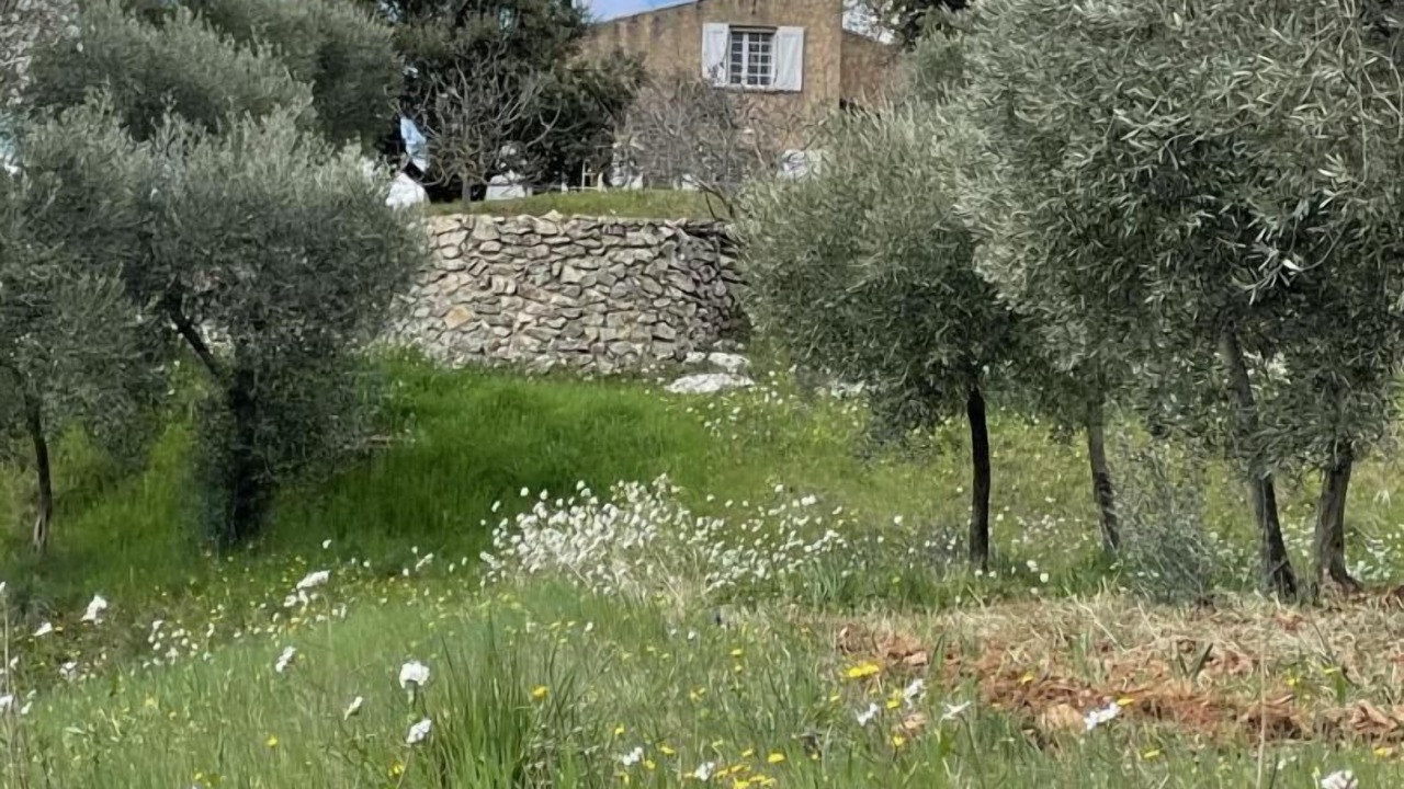 Photo of Outdoor in Tavernes