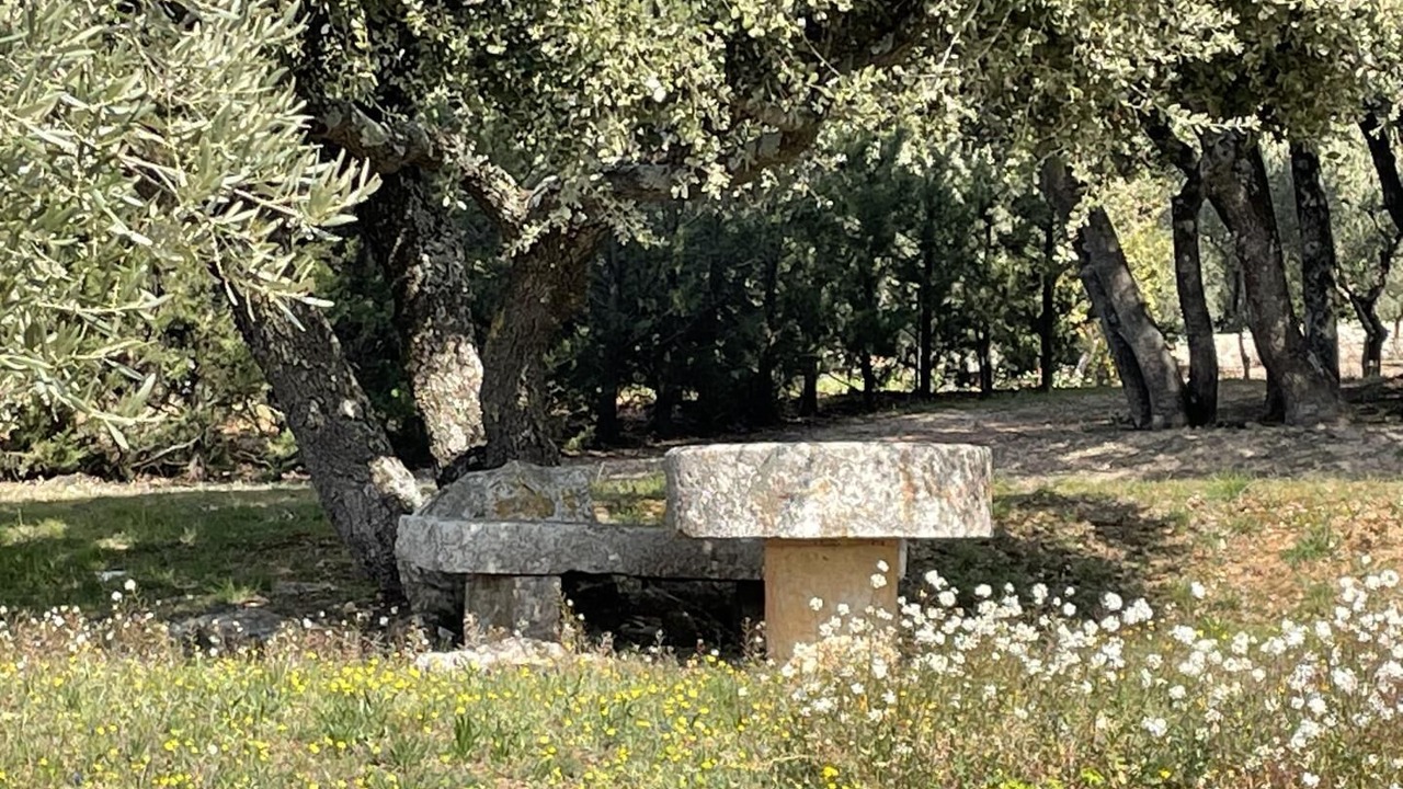 Photo of Outdoor in Tavernes