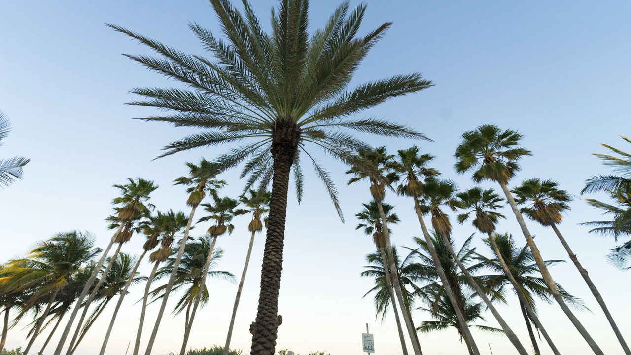 Photo of Outdoor in North Beach