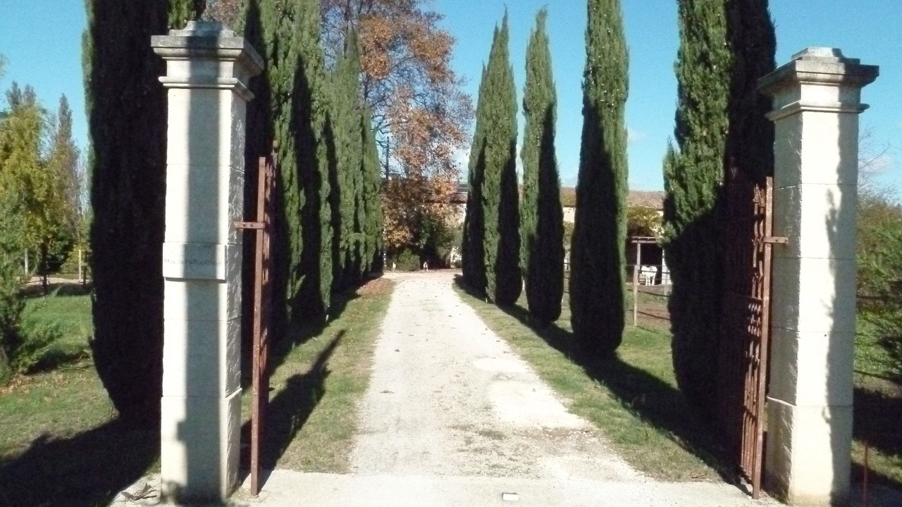Photo of Outdoor in Orange