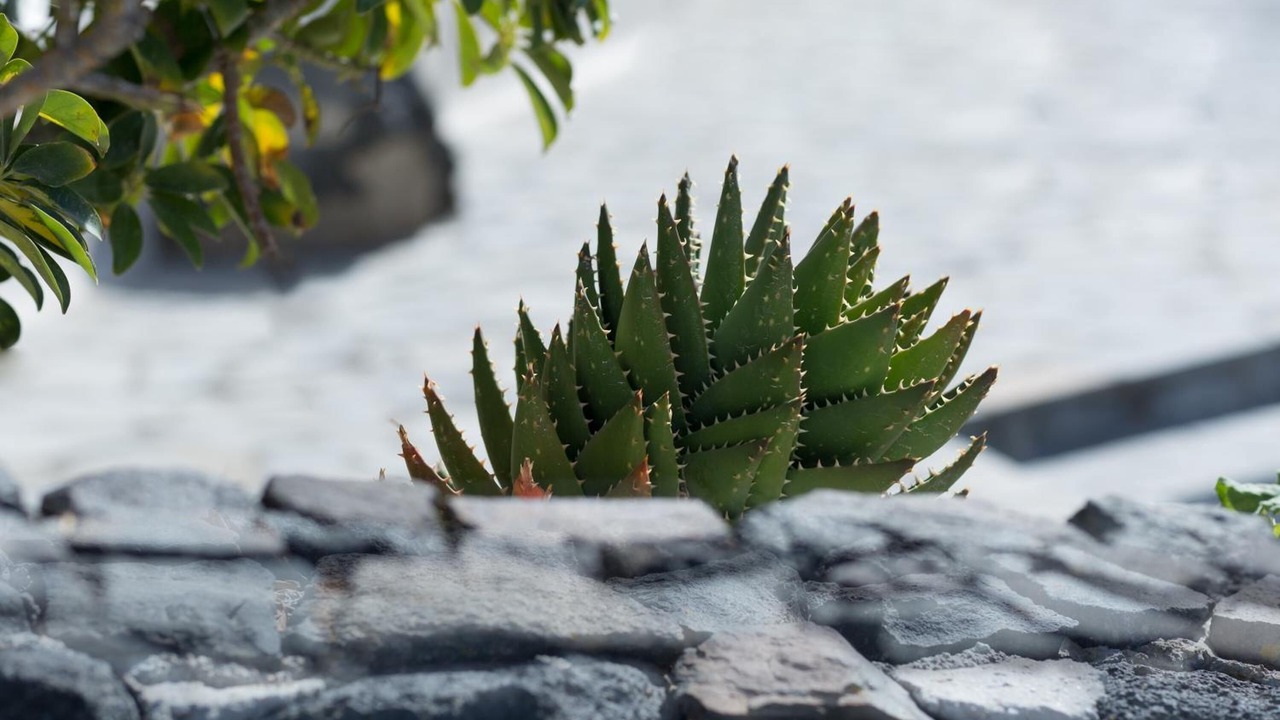Photo of Outdoor in Finikia