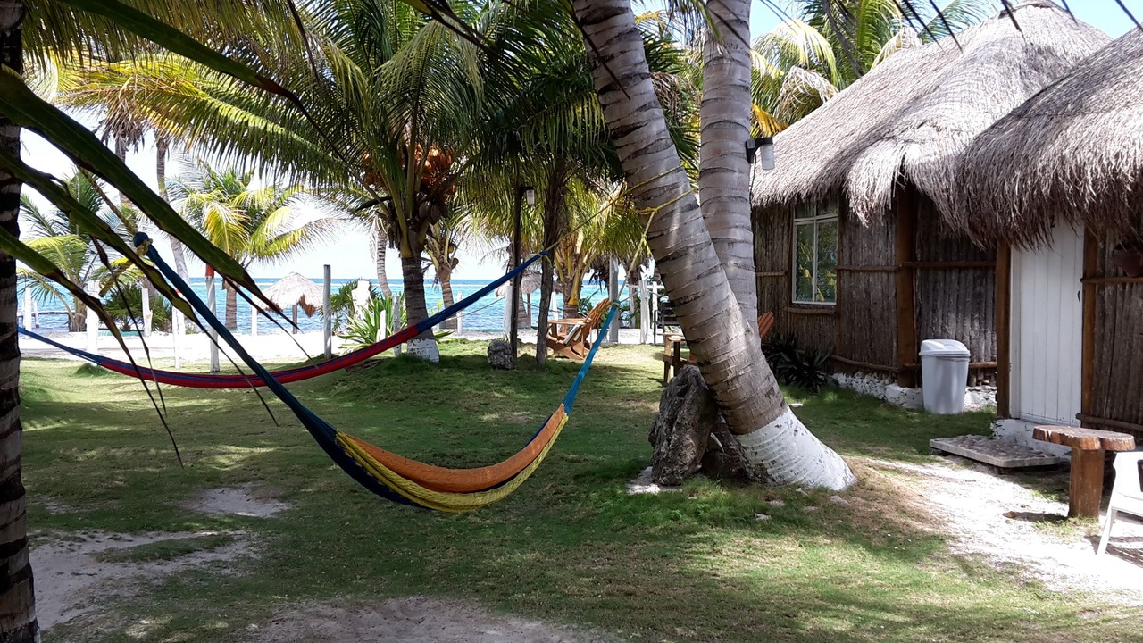 Photo of Others in Mahahual