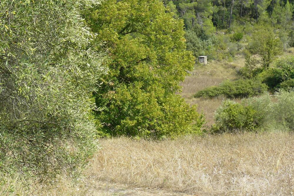 Photo of Outdoor in Barjols