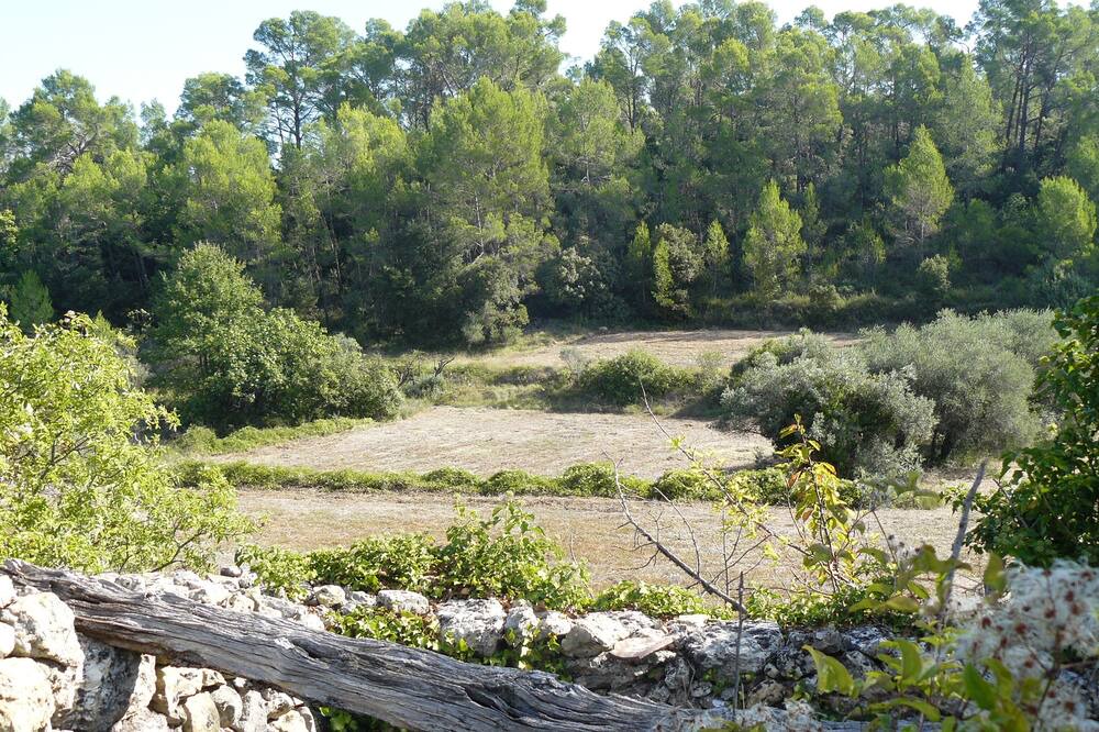 Photo of Outdoor in Barjols