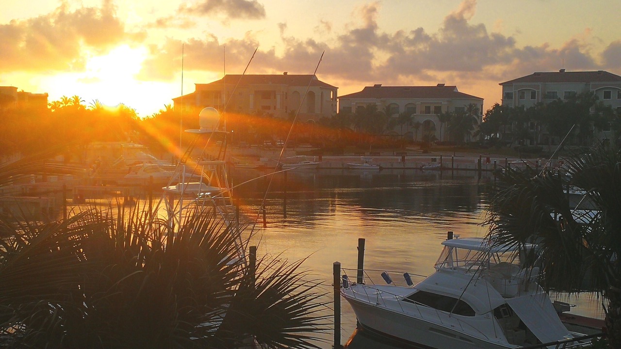 Photo of Others in Cap Cana Marina
