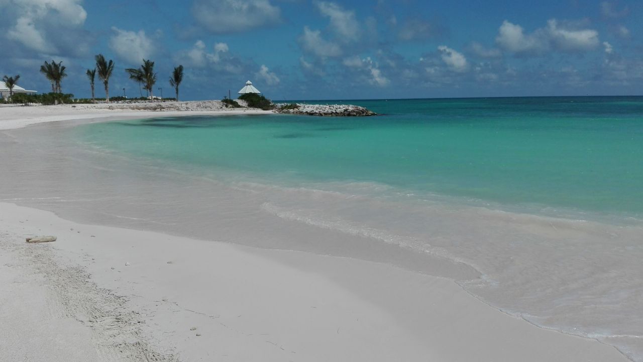 Photo of Others in Cap Cana Marina