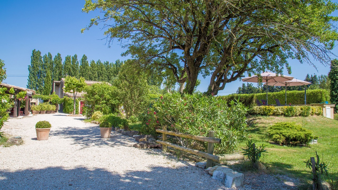 Photo of Outdoor in Orange