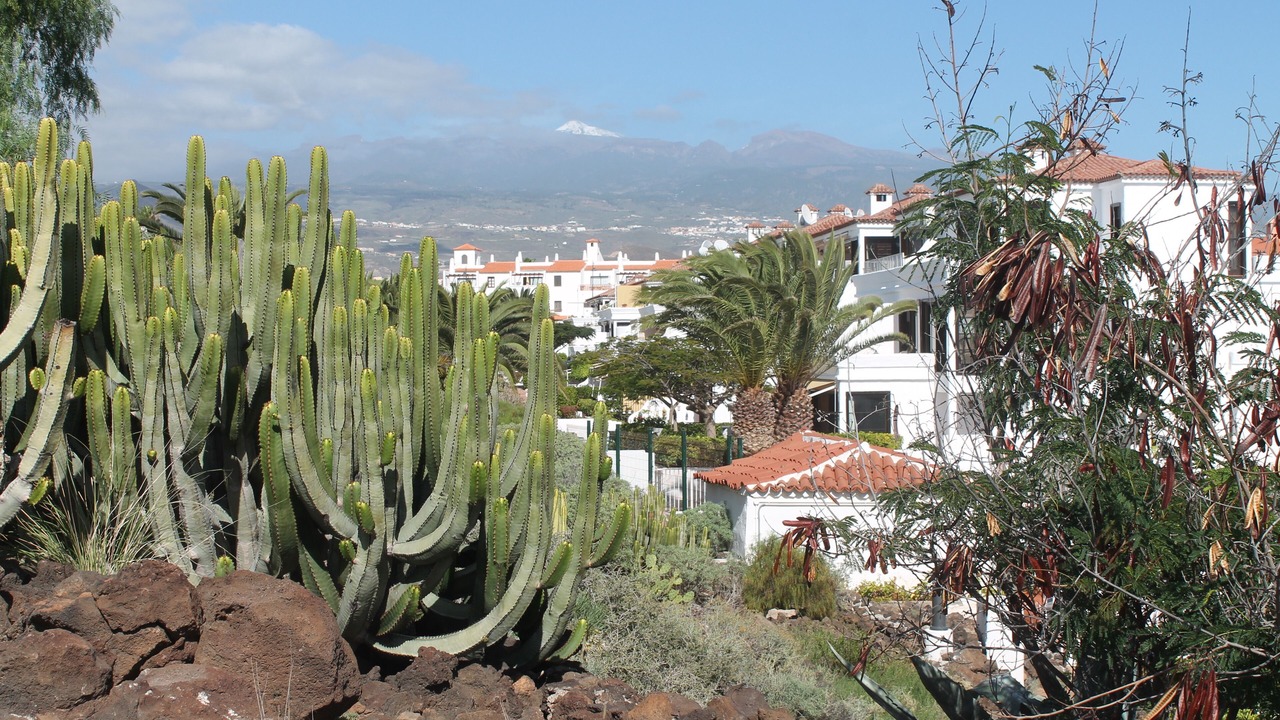 Photo of Outdoor in Complejo turistico Amarilla Golf