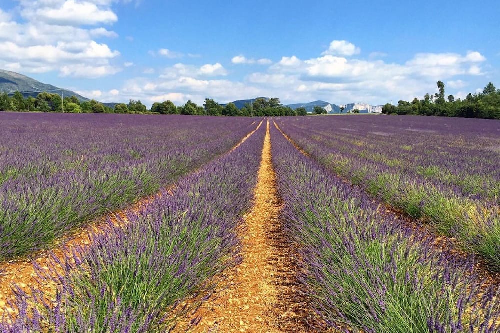 Photo of Outdoor in Taradeau