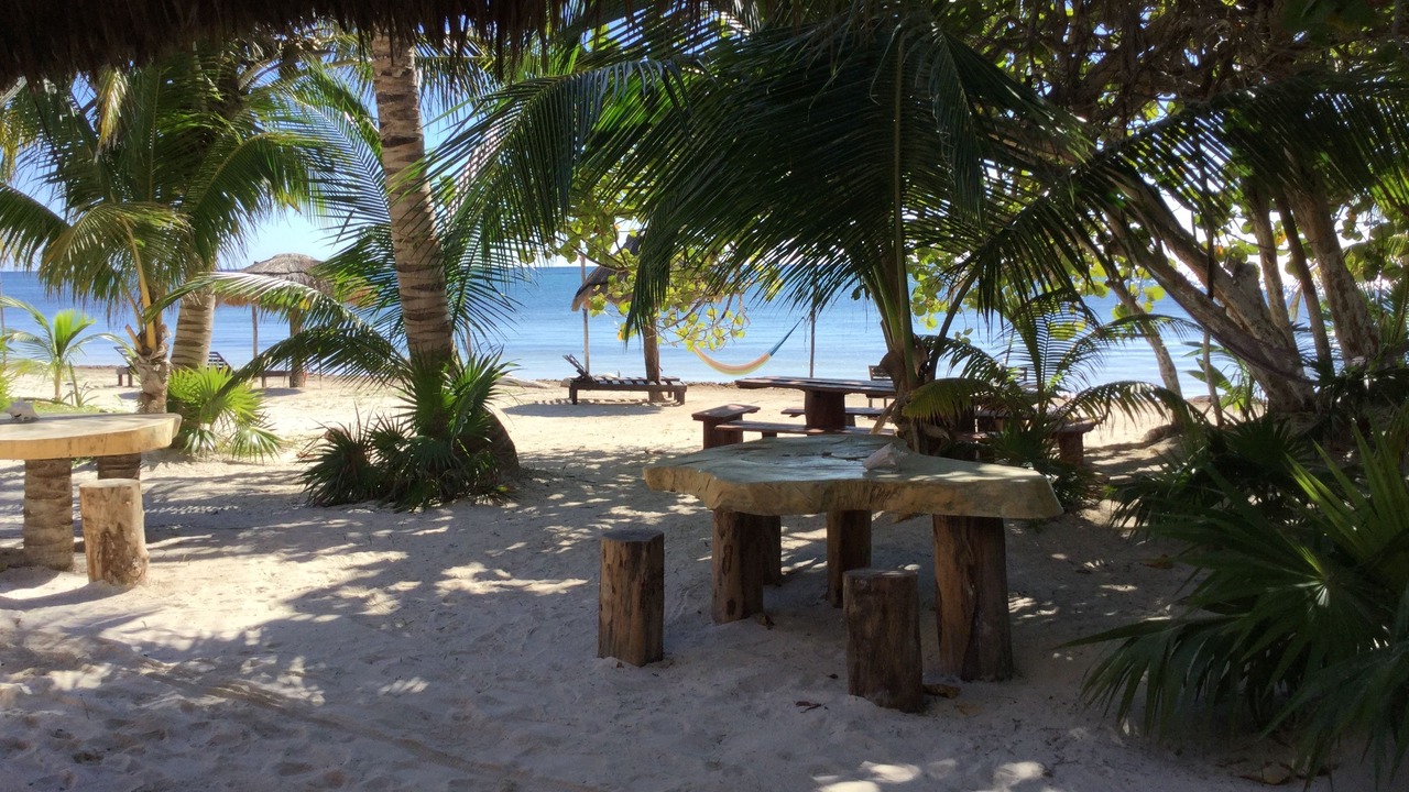 Photo of Others in Mahahual