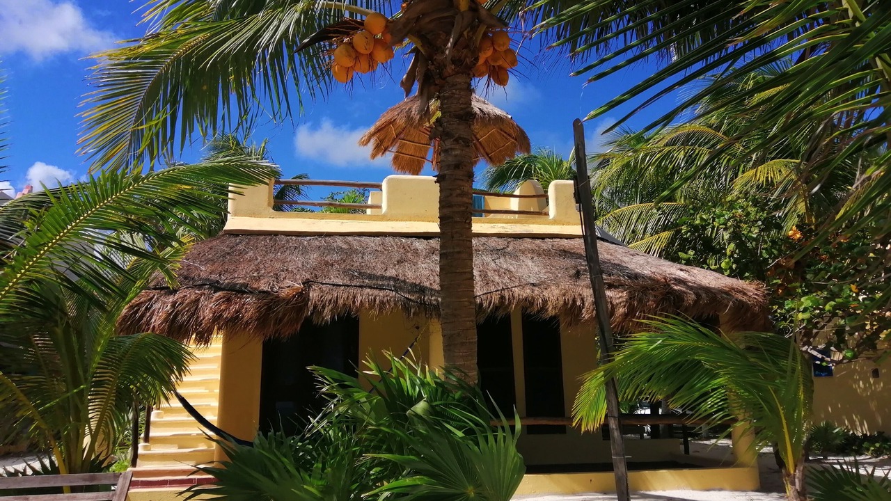 Photo of Outdoor in Mahahual