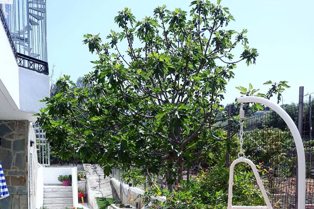 Photo of Outdoor in Pigianos Kampos