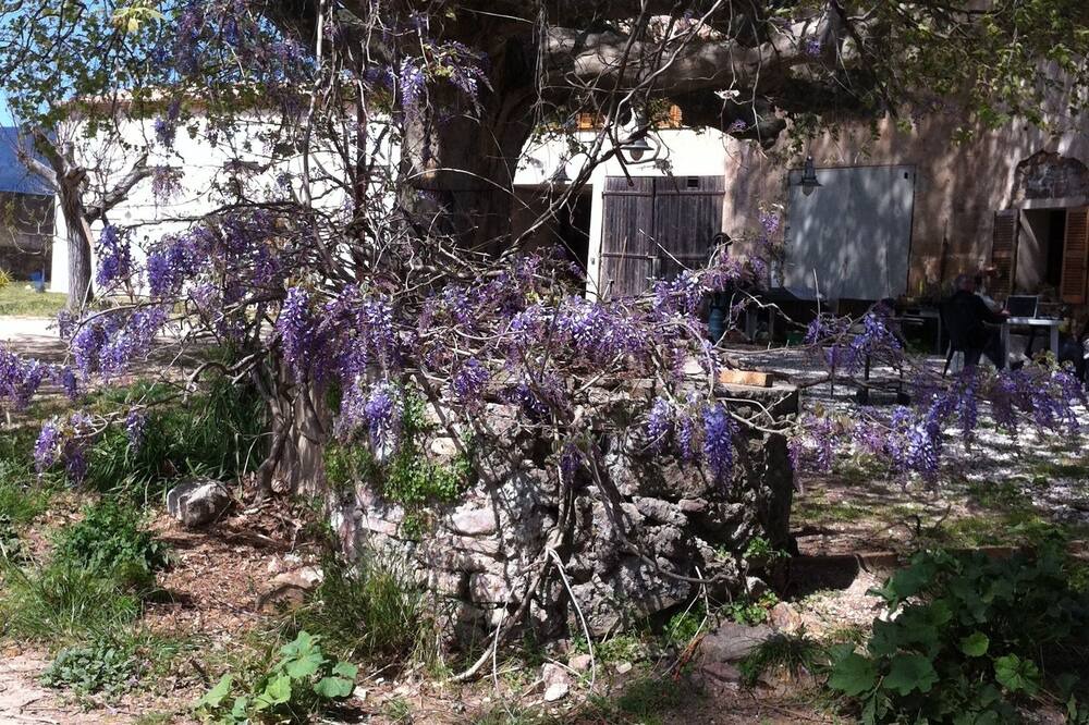 Photo of Outdoor in Puget-Ville