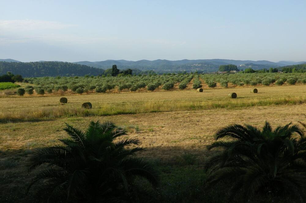 Photo of Outdoor in Puget-Ville
