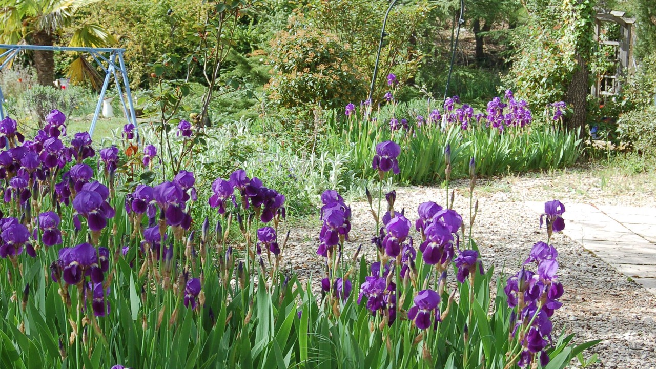 Photo of Outdoor in Saint-Maximin-la-Sainte-Baume