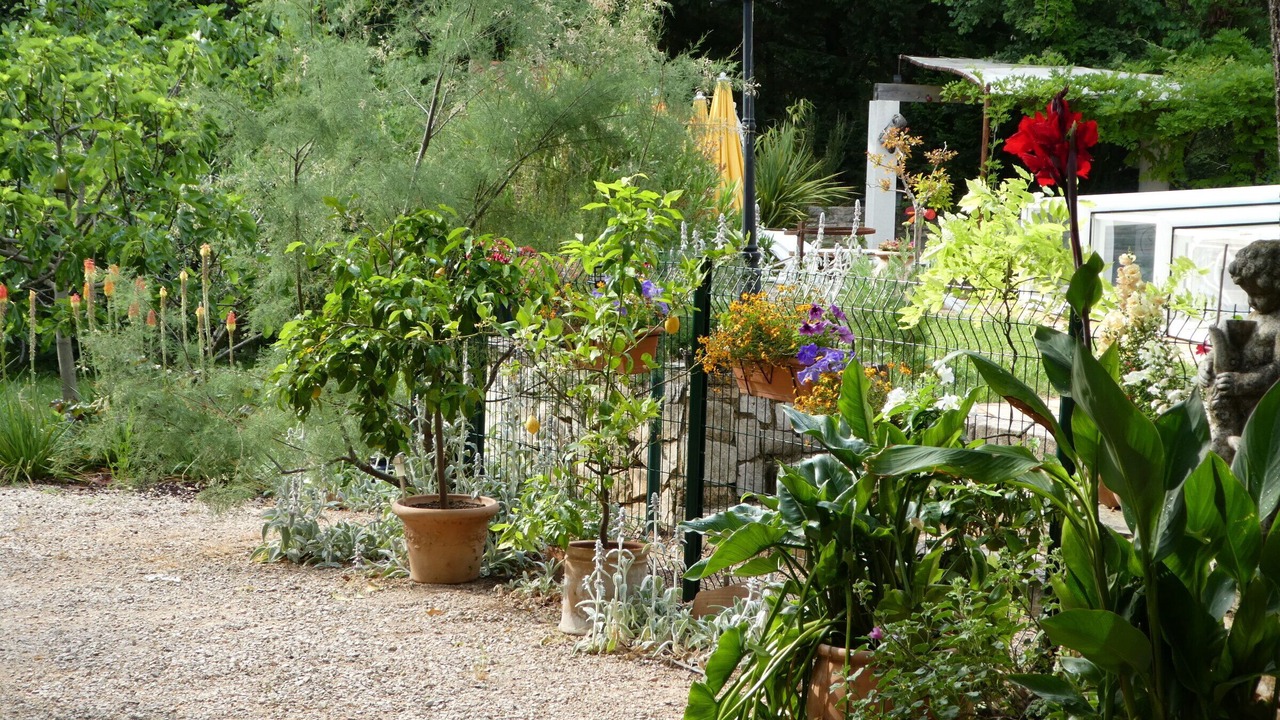 Photo of Outdoor in Saint-Maximin-la-Sainte-Baume