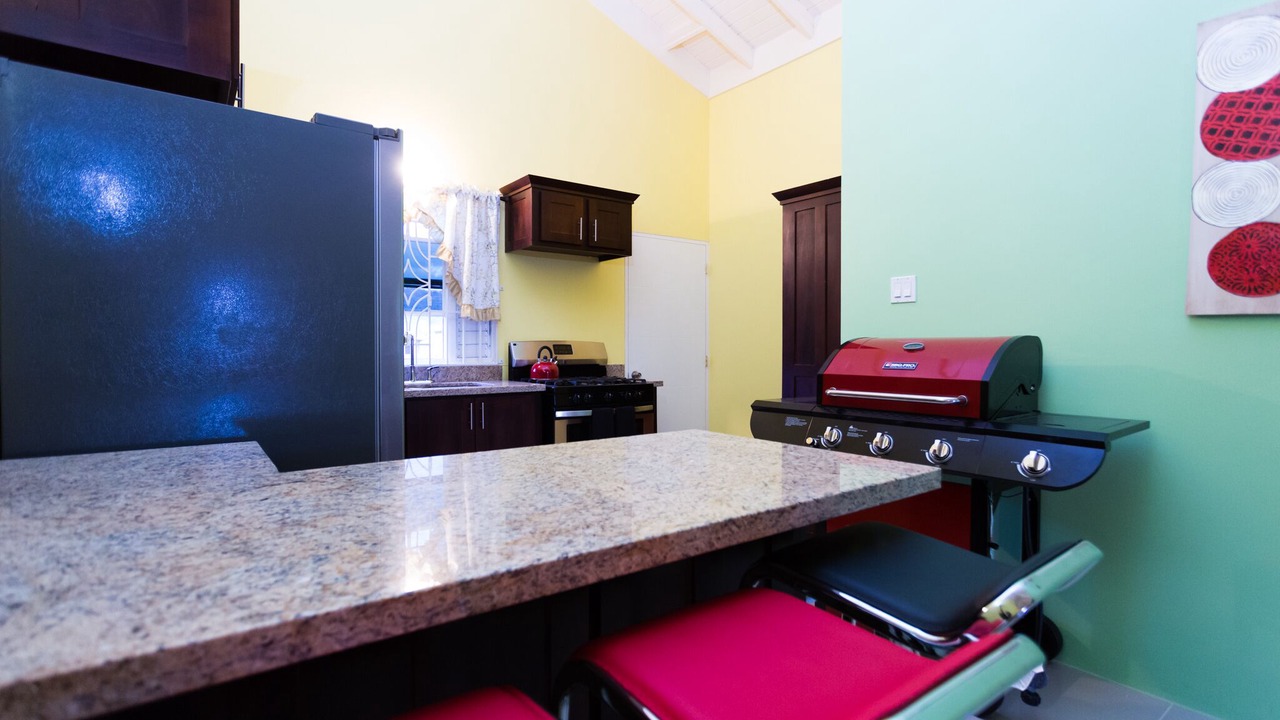 Photo of Kitchen in Mammee Bay