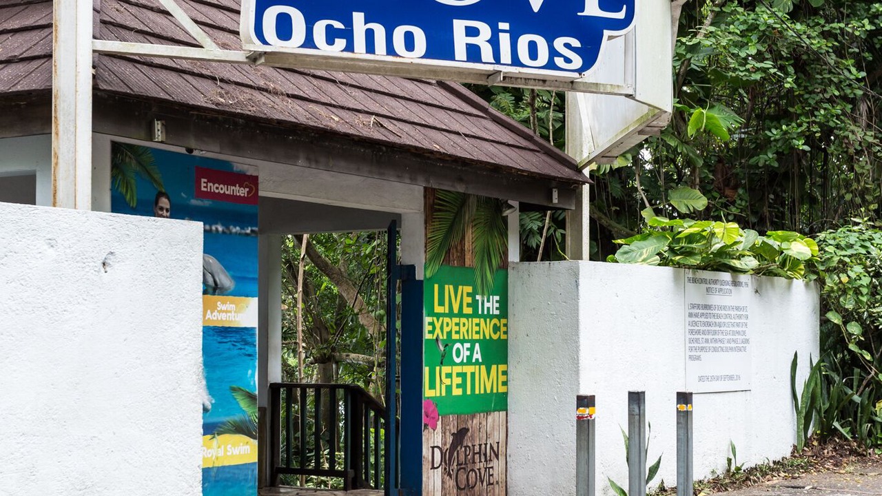 Photo of Outdoor in Mammee Bay