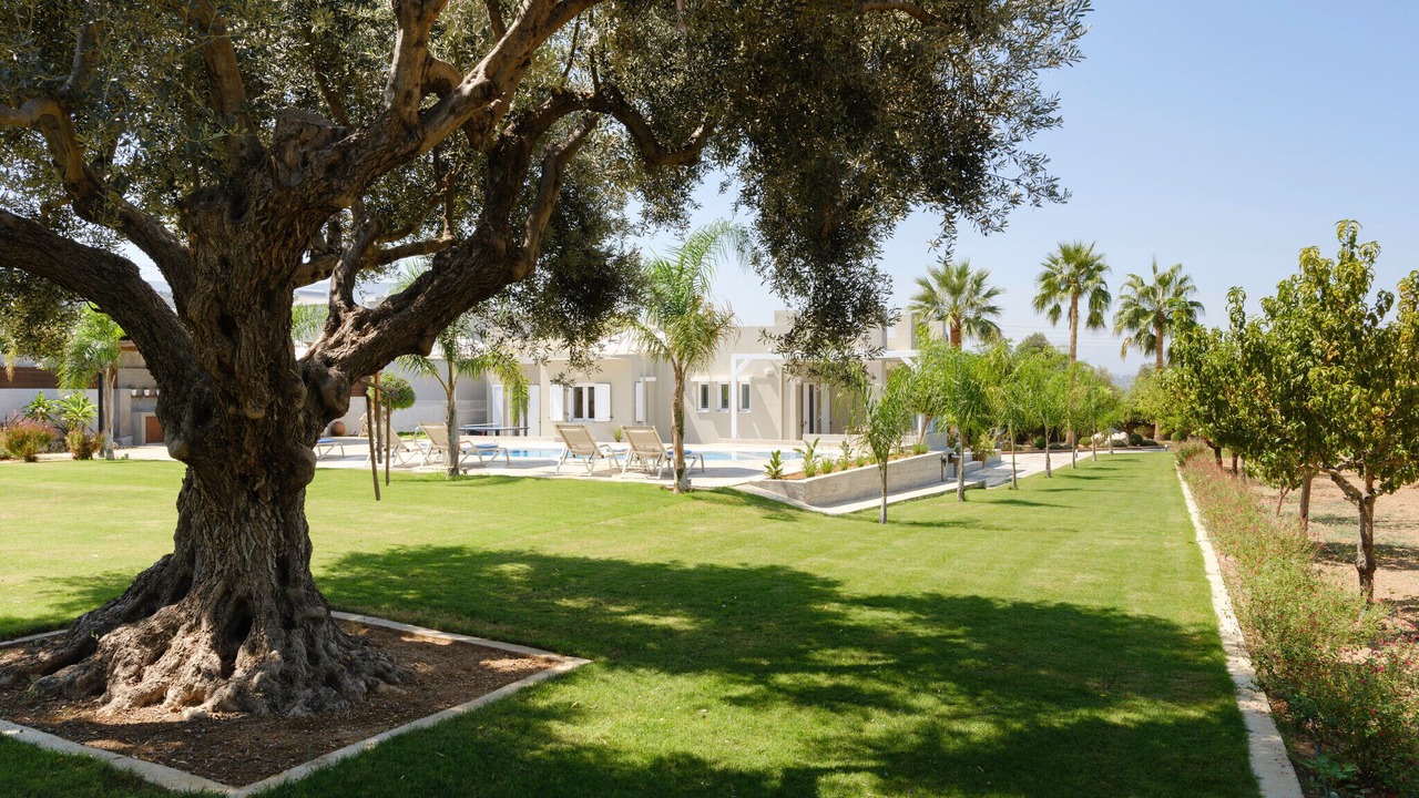 Photo of Outdoor in Adelianos Kampos