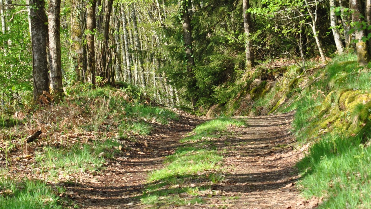 Photo of Outdoor in Jouillat