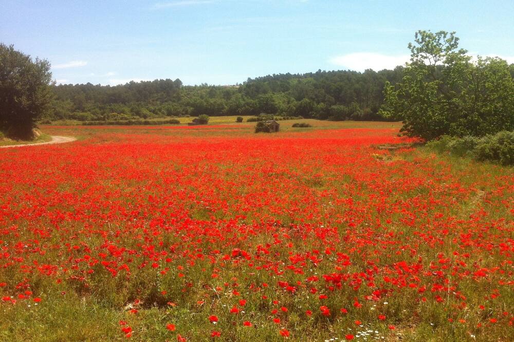 Photo of Outdoor in Varages